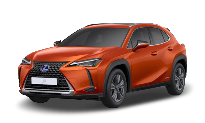 블레이징 카넬리안 콘트라스트 레이어링 익스테리어